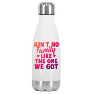 Family Reunion Family Connection No Family Like One We Got Funny Gift Stainless Steel Insulated Water Bottle