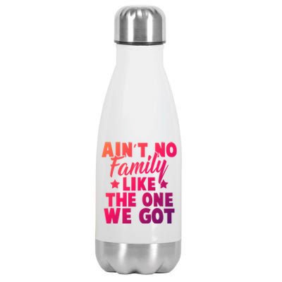 Family Reunion Family Connection No Family Like One We Got Funny Gift Stainless Steel Insulated Water Bottle