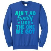 Family Reunion Family Connection No Family Like One We Got Funny Gift Sweatshirt