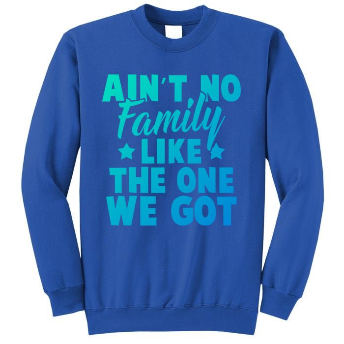 Family Reunion Family Connection No Family Like One We Got Funny Gift Sweatshirt