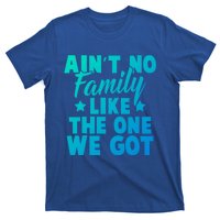 Family Reunion Family Connection No Family Like One We Got Funny Gift T-Shirt