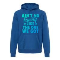 Family Reunion Family Connection No Family Like One We Got Funny Gift Premium Hoodie