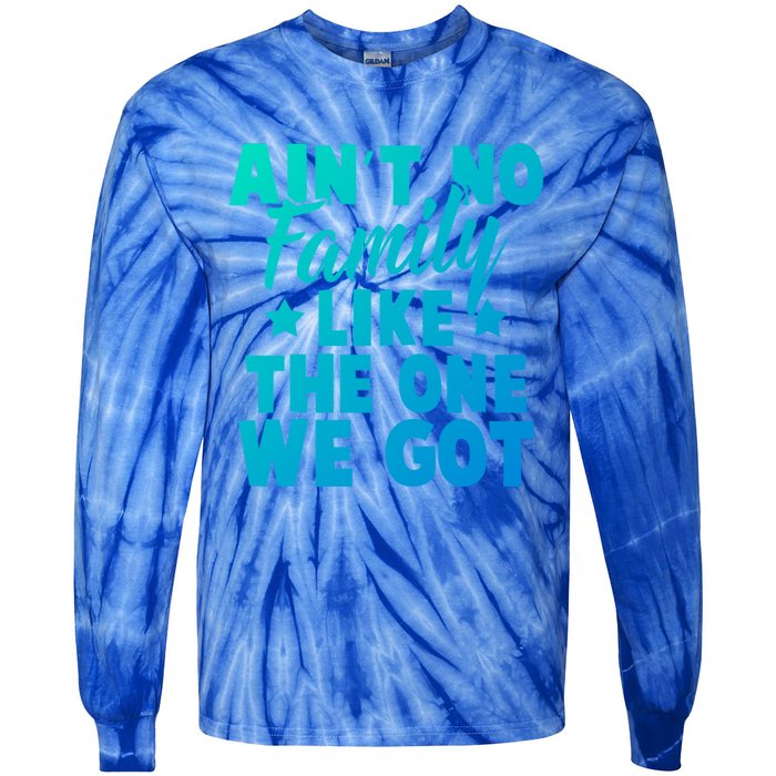 Family Reunion Family Connection No Family Like One We Got Funny Gift Tie-Dye Long Sleeve Shirt