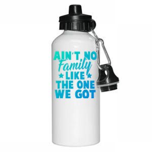 Family Reunion Family Connection No Family Like One We Got Funny Gift Aluminum Water Bottle