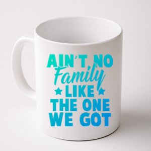 Family Reunion Family Connection No Family Like One We Got Funny Gift Coffee Mug