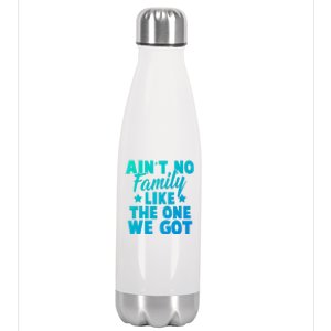 Family Reunion Family Connection No Family Like One We Got Funny Gift Stainless Steel Insulated Water Bottle