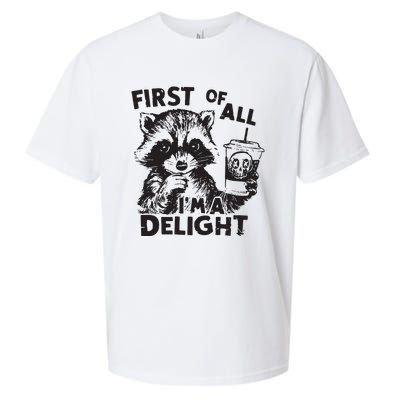 Funny Raccoon First Of All IM A Delight Sarcastic Sueded Cloud Jersey T-Shirt