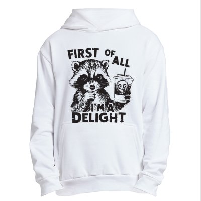 Funny Raccoon First Of All IM A Delight Sarcastic Urban Pullover Hoodie