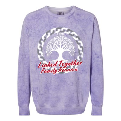 Family Reunion Colorblast Crewneck Sweatshirt