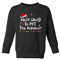 Funny Reindeer Family Christmas Holiday Santa Claus Hat Toddler Sweatshirt