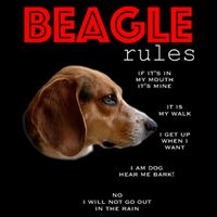 Funny Rules For The Owner Of A Beagle T-Shirt