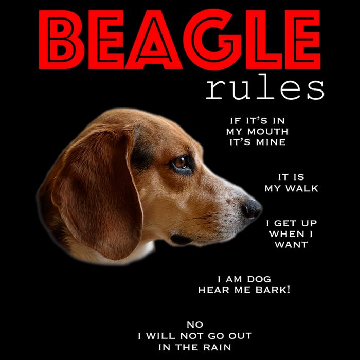 Funny Rules For The Owner Of A Beagle T-Shirt