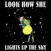 Firefly Ray Firefly Princess And The Frog Funny Meme Ltsp Sustainable Beanie
