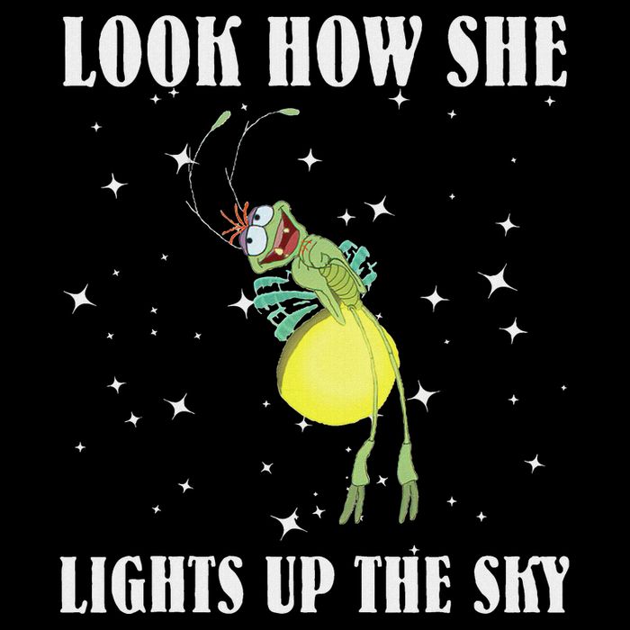 Firefly Ray Firefly Princess And The Frog Funny Meme Ltsp Youth Performance Sprint T-Shirt
