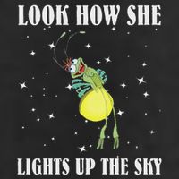 Firefly Ray Firefly Princess And The Frog Funny Meme Ltsp Microfiber Hand Towel