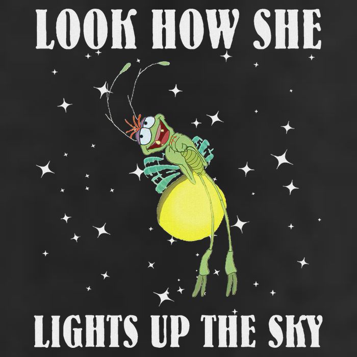 Firefly Ray Firefly Princess And The Frog Funny Meme Ltsp Microfiber Hand Towel