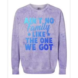 Family Reunion Family Connection No Family Like One We Got Funny Gift Colorblast Crewneck Sweatshirt