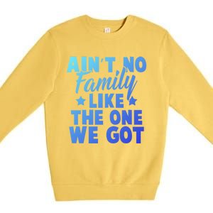 Family Reunion Family Connection No Family Like One We Got Funny Gift Premium Crewneck Sweatshirt