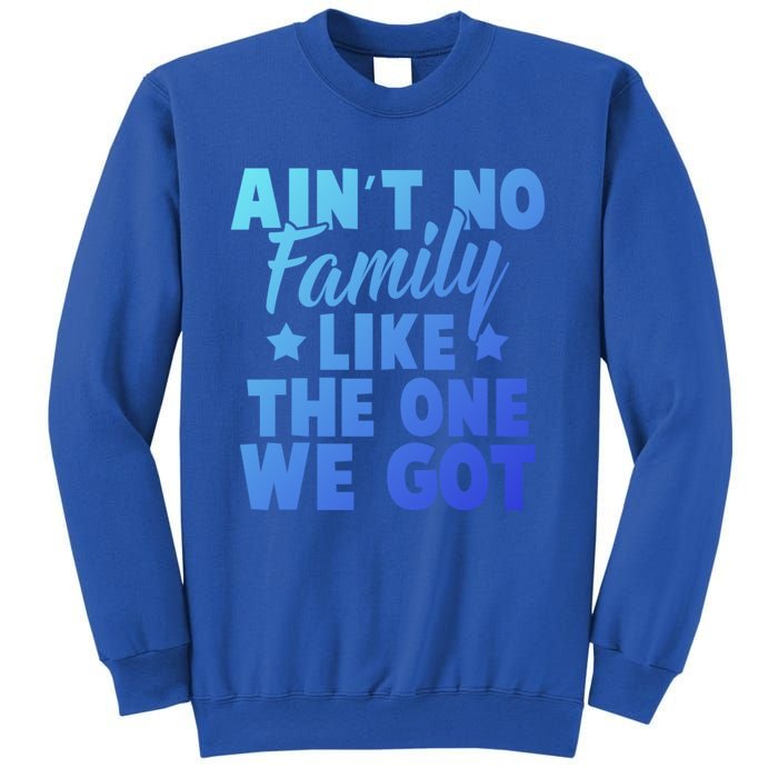 Family Reunion Family Connection No Family Like One We Got Funny Gift Sweatshirt