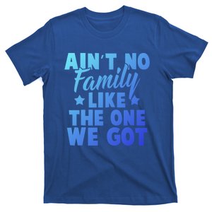 Family Reunion Family Connection No Family Like One We Got Funny Gift T-Shirt