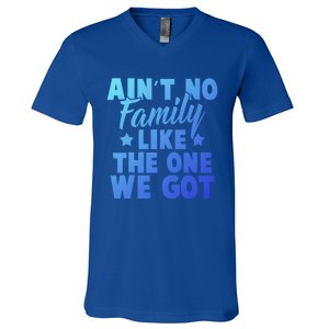 Family Reunion Family Connection No Family Like One We Got Funny Gift V-Neck T-Shirt