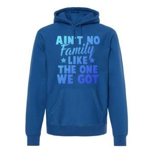 Family Reunion Family Connection No Family Like One We Got Funny Gift Premium Hoodie