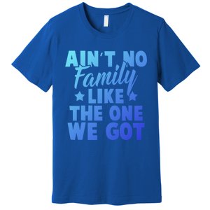 Family Reunion Family Connection No Family Like One We Got Funny Gift Premium T-Shirt