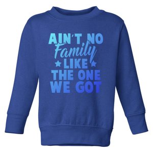 Family Reunion Family Connection No Family Like One We Got Funny Gift Toddler Sweatshirt