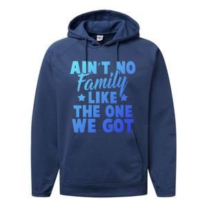 Family Reunion Family Connection No Family Like One We Got Funny Gift Performance Fleece Hoodie