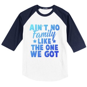 Family Reunion Family Connection No Family Like One We Got Funny Gift Baseball Sleeve Shirt