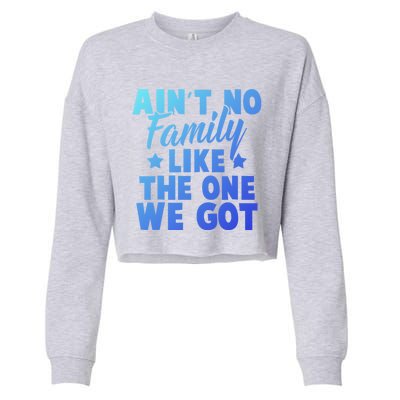 Family Reunion Family Connection No Family Like One We Got Funny Gift Cropped Pullover Crew