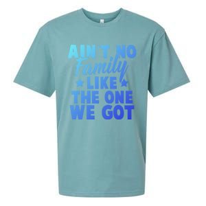 Family Reunion Family Connection No Family Like One We Got Funny Gift Sueded Cloud Jersey T-Shirt