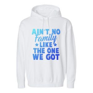 Family Reunion Family Connection No Family Like One We Got Funny Gift Garment-Dyed Fleece Hoodie