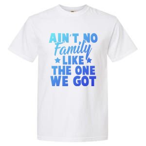 Family Reunion Family Connection No Family Like One We Got Funny Gift Garment-Dyed Heavyweight T-Shirt