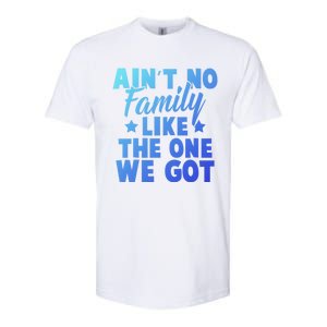 Family Reunion Family Connection No Family Like One We Got Funny Gift Softstyle CVC T-Shirt