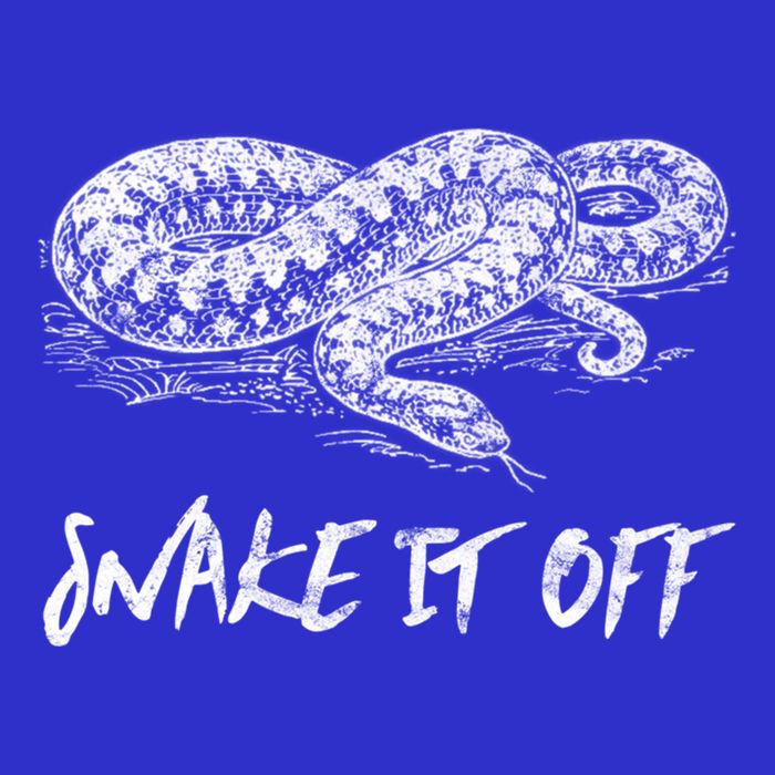 Funny Reptile Gift Snake It Off Meme Hognose Gift Toddler Hoodie