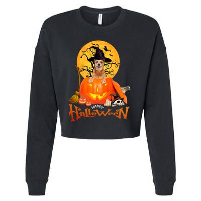Funny Red Heeler Spooky Halloween Cropped Pullover Crew