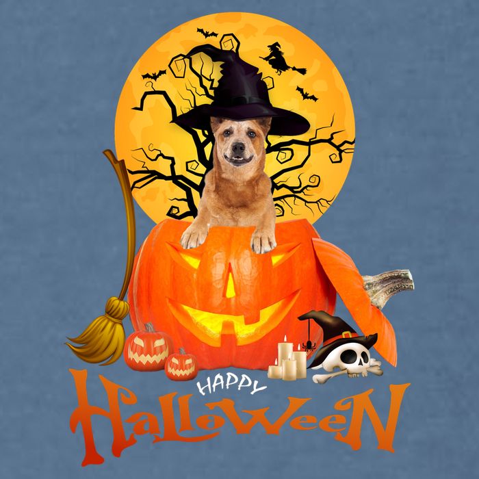 Funny Red Heeler Spooky Halloween Garment-Dyed Sweatshirt