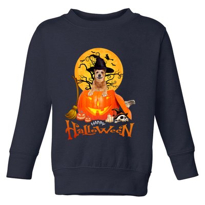 Funny Red Heeler Spooky Halloween Toddler Sweatshirt