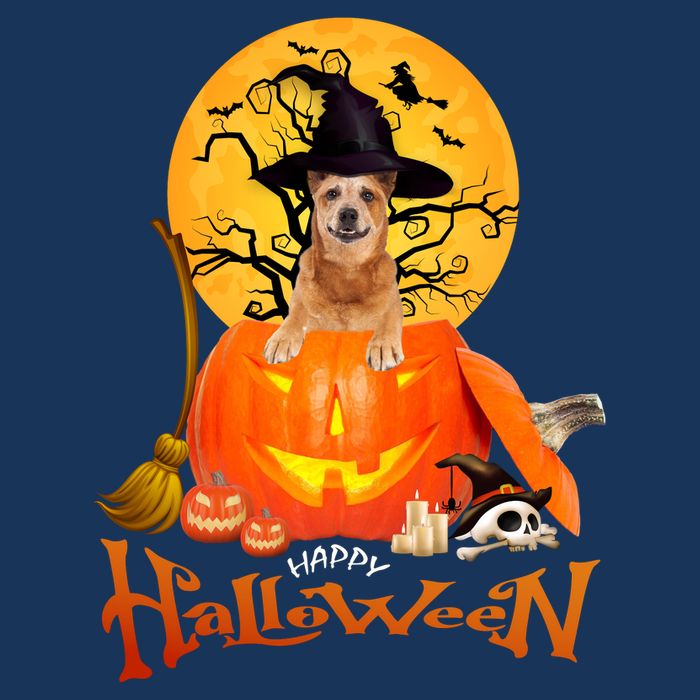 Funny Red Heeler Spooky Halloween Visor