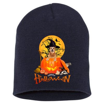 Funny Red Heeler Spooky Halloween Short Acrylic Beanie