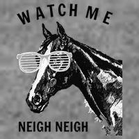 Funny Race Horse Watch Me Neigh Neigh Toddler Hoodie