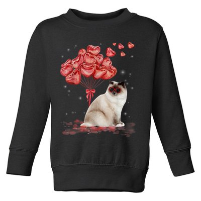 Funny Ragdoll Heart Valentines Day Cat Dad Mom Gift Toddler Sweatshirt