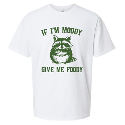 Funny Raccoon If IM Moody Give Me Foody Sueded Cloud Jersey T-Shirt