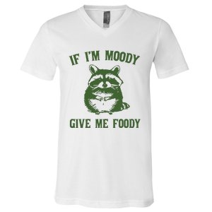 Funny Raccoon If IM Moody Give Me Foody V-Neck T-Shirt