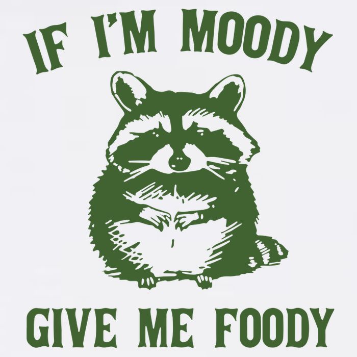 Funny Raccoon If IM Moody Give Me Foody 11oz C Handle Ceramic Mug