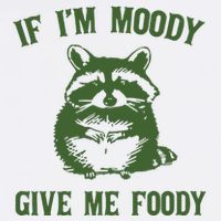 Funny Raccoon If IM Moody Give Me Foody Short Acrylic Beanie