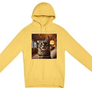 Funny Rage Is Consuming Me Silly Staring Cat Meme Premium Pullover Hoodie