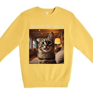 Funny Rage Is Consuming Me Silly Staring Cat Meme Premium Crewneck Sweatshirt