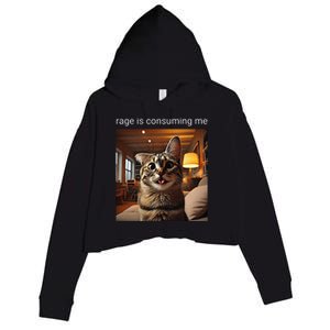 Funny Rage Is Consuming Me Silly Staring Cat Meme Crop Fleece Hoodie